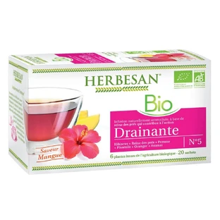 Herbesan Biologisch Uitleksel Reinesmaak Mango 20 zakjes