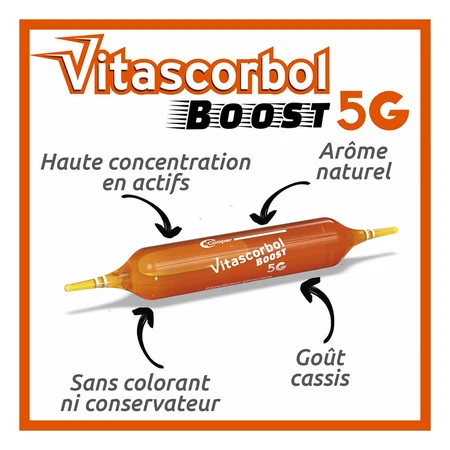 Vitascorbol Boost von Coup De Fouet Boost 200 ml