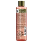 Sanoflore Rosa Fresca Gesichtslotion Damaszener Rose Bio Botanische Essenz 200ml
