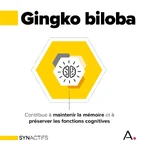 Aragan Synactifs MEMOProctect Memoria e prontezza di riflessi 60 capsule