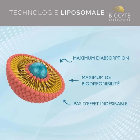 Biocyte Vitamins D3 Liposomal 90 Gélules