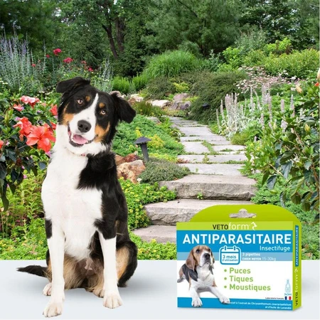 Vetoform Hund Antiparasitaire Pipetten Medium 15-30 kg 3x3ml