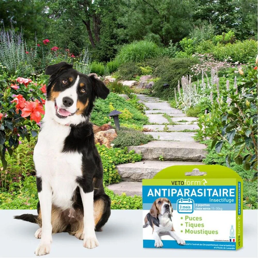 Vetoform Hund Antiparasitaire Pipetten Medium 15-30 kg 3x3ml