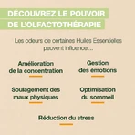 Pranarôm Aromaboost Energy Mist Bio 50ml