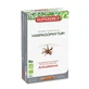 Superdiet Harpagophytum Bio-Gelenke 20 Fläschchen