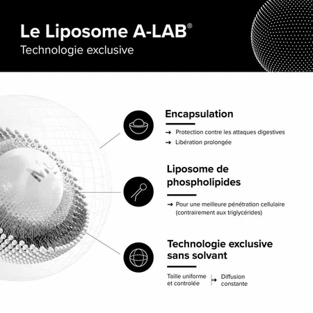 A-LAB OPC Raisin Liposomal 200mg Antioxydant Circulation Peau 60 gélules
