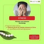Kosmeo Fleurs de Bach Stress Bio 120 Granulat