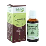 Herbalgem Organic Dogwood 30ml