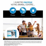 Frontline Spot-on Câine 10-20kg 6 pipete 1.34 ml