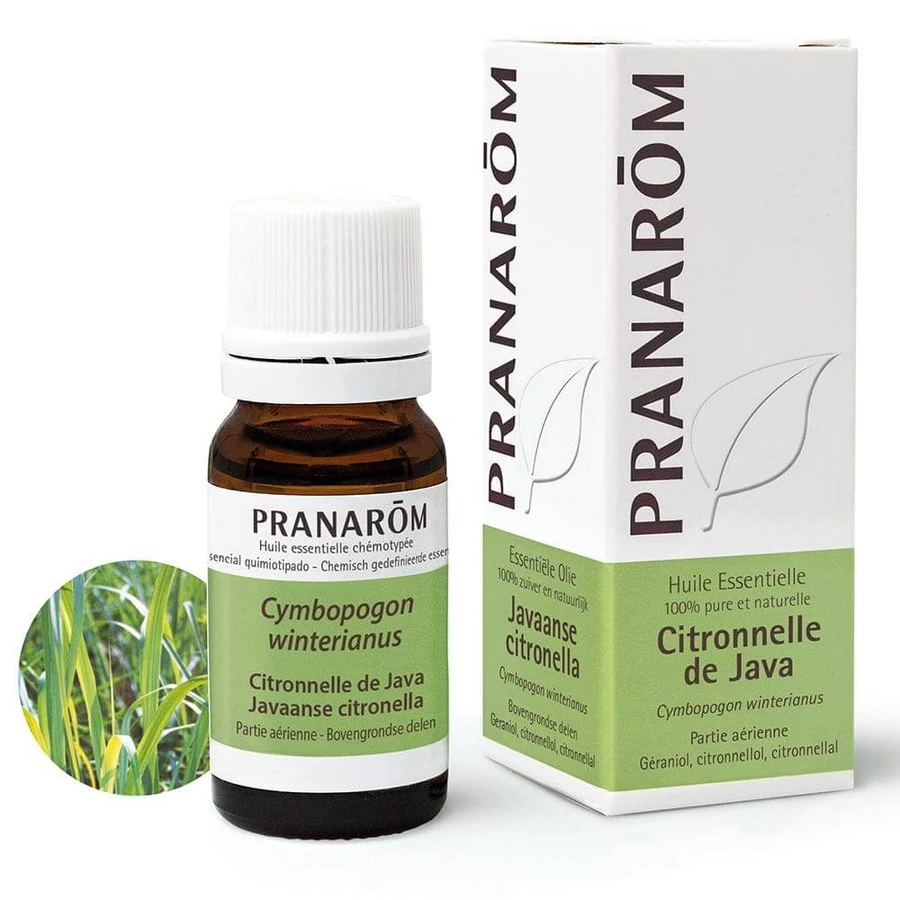 Pranarôm Ätherische Öle Ätherisches Öl Zitronengras Java 10ml
