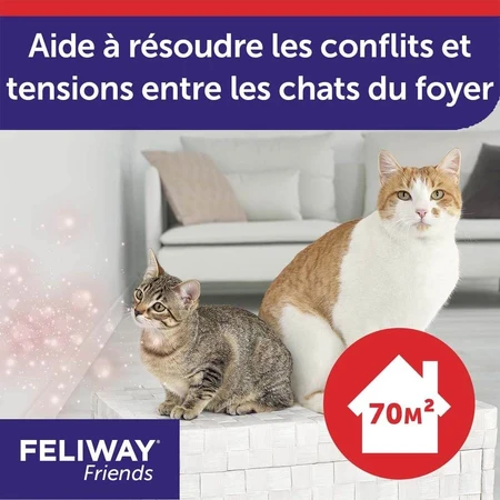 Feliway Friends pheromone refill for diffuser Cat with Friends 48ml