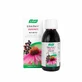 A.Vogel France Heißgetränk Echinaforce 100ml