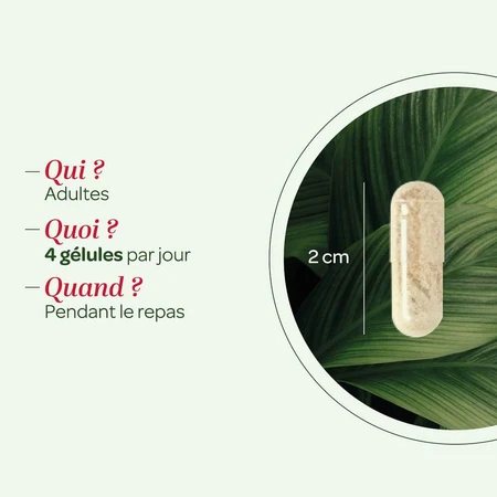 Superdiet Quatuor Circulation Red Vine 120 Capsules 120 Gélules