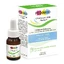 Pediakid Colicillus Bebe mit Dosierpipette 8ml