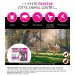 Frontline Tri-act Spot-on Hond 20-40 kg 3 pipetten van 4 ml