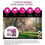 Frontline Tri-act Spot-on Hond 20-40kg 6 4ml pipetten