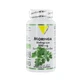 Vit'All+ Moringa ecológica 60 cápsulas