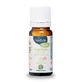 Neobulle Tout Pur Verstuiver Synergie 10ml