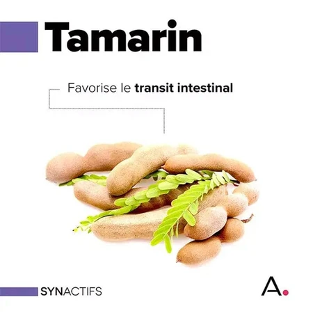 Aragan Synactifs TransitActifs 20 cápsulas