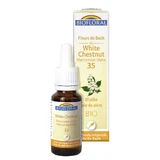 Biofloral Nr. 35 Le Blanc Bio Demeter Bachblüten Vitalität Lebensfreude 25ml