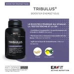 Eafit Tribulus Synthese Testosteron 90 Tabletten