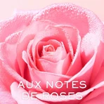 Nuxe Very rose Velvety Cleansing Milk 200ml