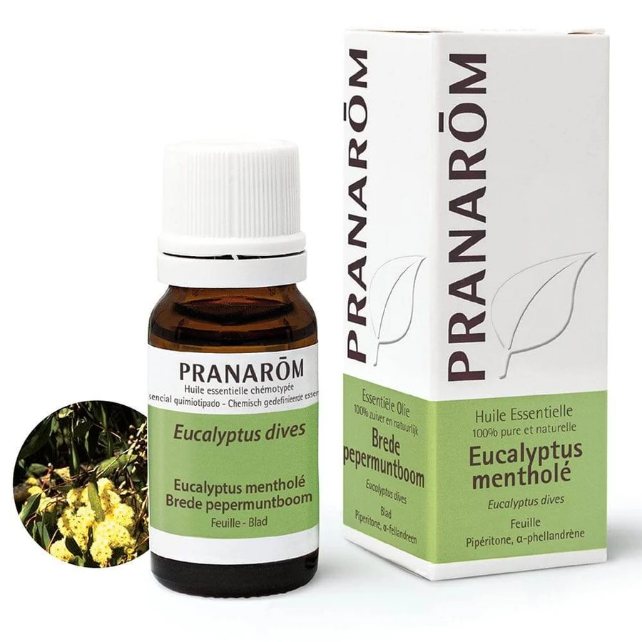 Pranarôm Etherische oliën Eucalyptus Menthol 10ml