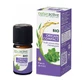 Naturactive Bio kompakt Oregano ätherisches Öl 5 ml