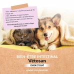 Clement-Thekan Vétosan Anti-worming Dog and Cat 60 Tablets