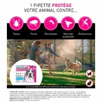 Frontline Tri-act Spot-on Hond 10-20kg 6 pipetten 1 ml