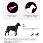 Frontline Tri-act Spot-on Hond 10-20kg 6 pipetten 1 ml