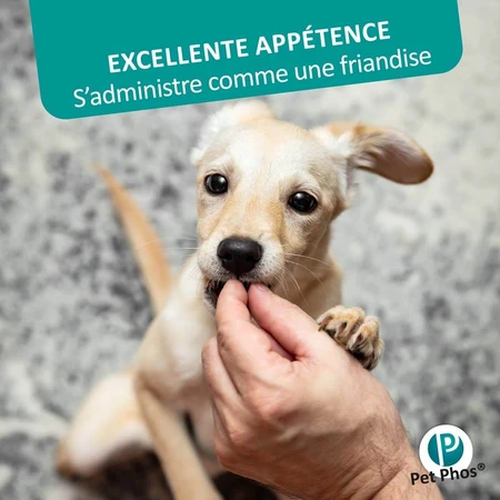 Ceva Pet Phos Croissance CA/P=1,3 Chiot 100 comprimés