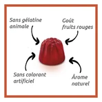 Vitascorbol Energie 50 gommes