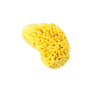 Estipharm Ultra Zachte Natuurlijke Spons x1