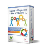 Calciu + Magneziu + Zinc + VItamina D3, 30 comprimate, Polisano Pharmaceuticals