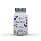 Hifas da Terra Bio-Darm 60 Gelatine