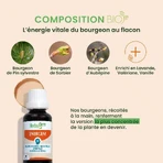 Herbalgem Gemmotherapie Komplexe Mental Overload Bio 30ml