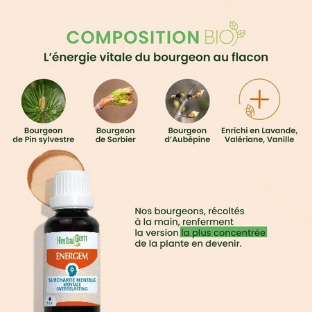 Herbalgem Gemmotherapie Komplexe Mental Overload Bio 30ml