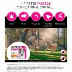 Frontline Tri-act Spot-on Hond 5-10 kg 3 pipetten 1 ml