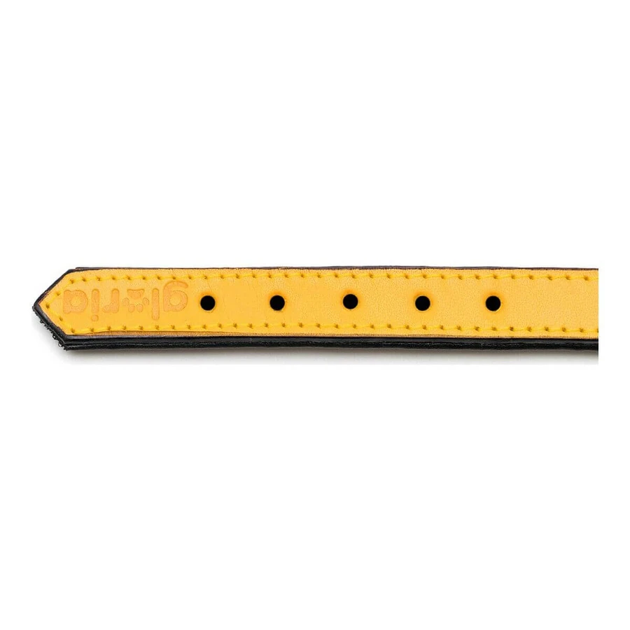 Zgardă pentru câini Gloria Căptușit Galben (30 x 1,5 cm)