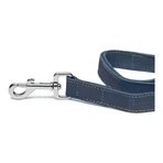 Guinzaglio per Cani Gloria Oasis 3 x 60 cm Azzurro