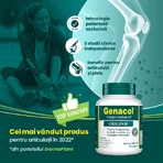 Genacol Collageen Aminolock, 90 capsules, Dermaplant