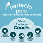 Geantă Universală Coachi Train & Treat Albastru