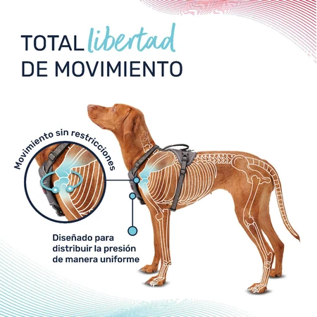 Șuncă pentru câini Company of Animals Verde M 35-55 cm