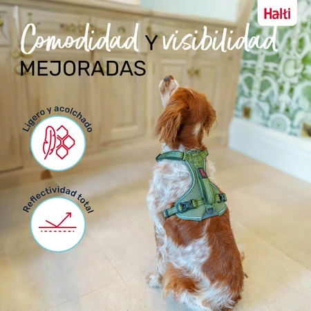 Șuncă pentru câini Company of Animals Verde M 35-55 cm
