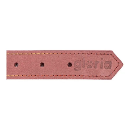 Zgardă pentru câini Gloria Oasis Roz (65 x 3 cm)
