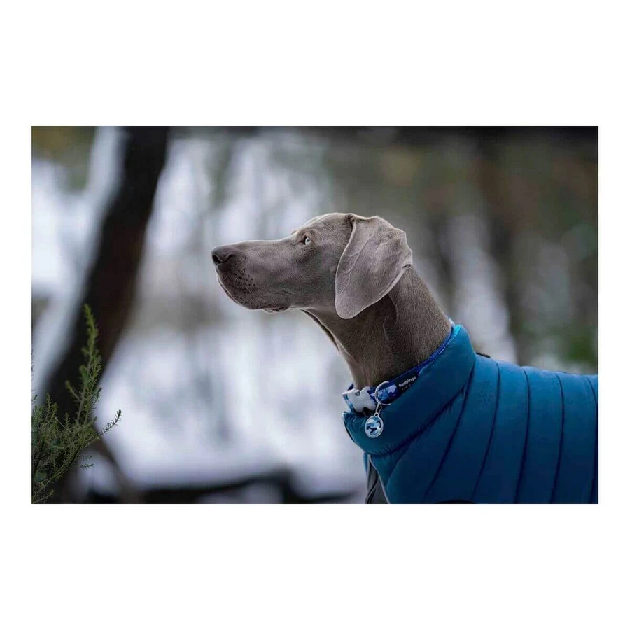 Haină pentru câine Red Dingo Puffer Turquoise 25 cm