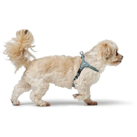 Dog Harness Hunter SOHO MINI Blue XS