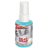 Intimeco Delay Spray Intimflüssigkeit zur Verzögerung des Ejakulationszeitpunkts, 50 ml