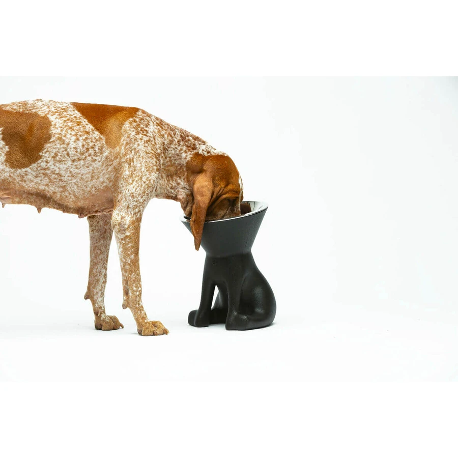 Dispozitiv de hrănire pentru câini United Pets Up Elisabeth Negru Oțel inoxidabil Polietilenă 1 L